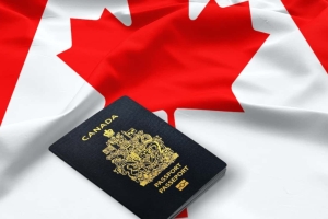 重磅信号 | CEC分数回落、工签名单冻结！2026年拿枫叶卡的&ldquo;黄金赛道&rdquo;已浮现